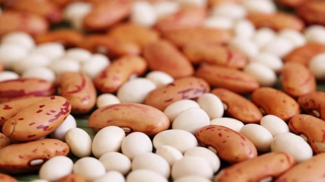 HD 1080 closeup: beans seed at rotating display