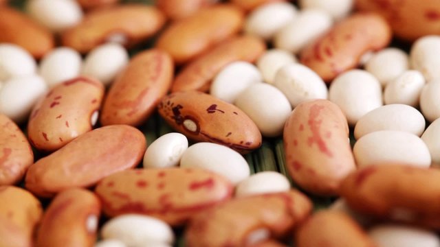 HD 1080 closeup: beans seed at rotating display