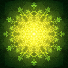 Light Flower Mandala with green background. Ornamental round floral Pattern.