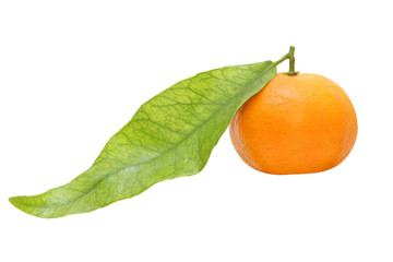 Fresh tangerine with green leaf.Isolated.