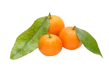 Three ripe tangerine with green leafes.Isolated.
