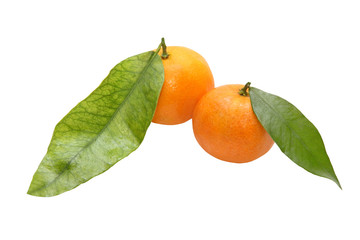 Two fresh tangerine with green leafes.Isolated.