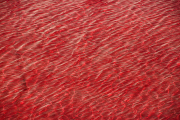 Red water surface