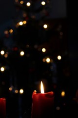 Kerze vor Tannenbaum