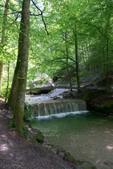 Fototapeta premium Wasserschnelle