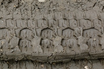 Obraz premium Imprint automobile tires on dirt