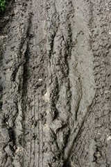 Imprint automobile tires on dirt