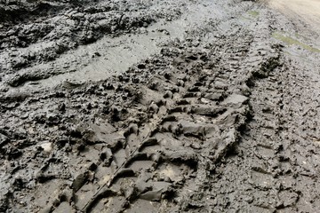 Imprint automobile tires on dirt
