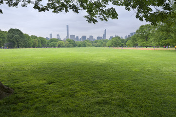 Central Park Sunset in New York City