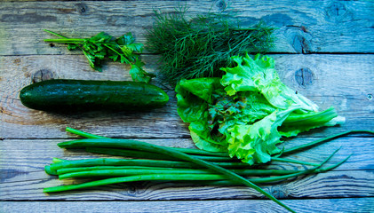 зелень для салатов