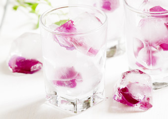 Ice cubes with rose petals on white wooden background, selective