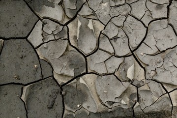 Wet barren soil in cracks