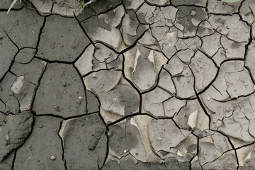 Wet barren soil in cracks