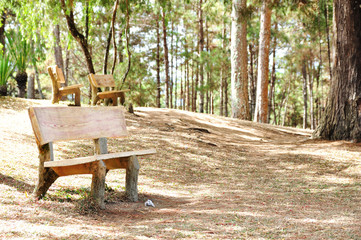Alone bench