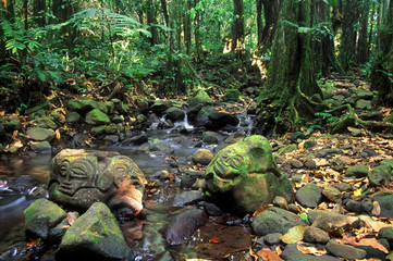 French Polynesia Rainforest Rock Carvings