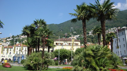 Locarno - palmy i promenada © manek79