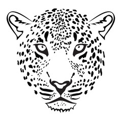 Leopard Head illustration vector
