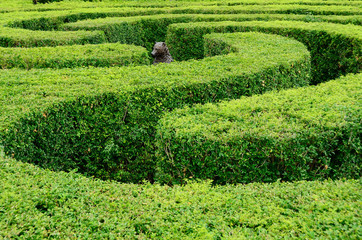 Labyrinth garden and bear statue