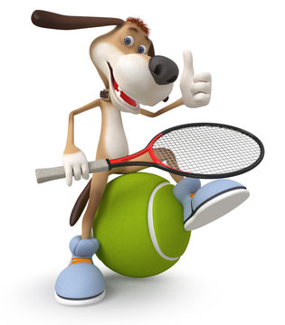 dog tennis player