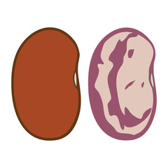 BEANS illustration vector
