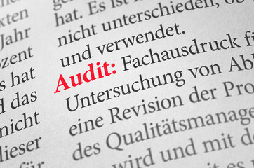 Wörterbuch mit dem Begriff Audit