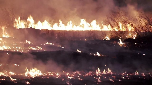 Bushfire Burning at Night