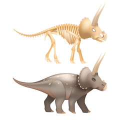 Triceratops dinosaur art with skeleton