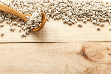 Seasonal Food, white beans