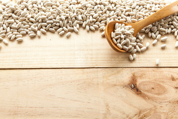 Seasonal Food, white beans