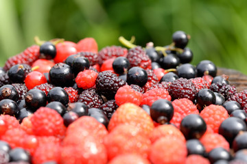 Berries