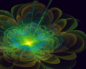 fractal flower