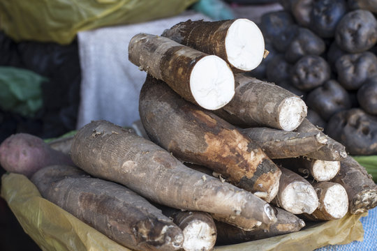 Whole manioc (cassava or yuka) at market place in Peru