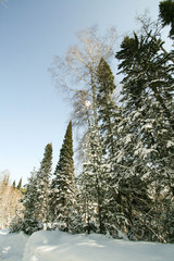 Зимняя Сказка