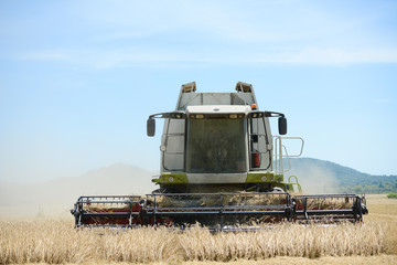 combine harvester agriculture machine harvesting golden ripe wheat field