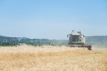 Fototapeta na wymiar combine harvester agriculture machine harvesting golden ripe wheat field