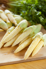 fresh baby corn prepare for cooking