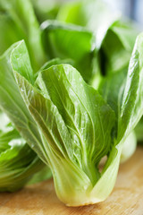 pak choi (chinese cabbage) prepare for cooking