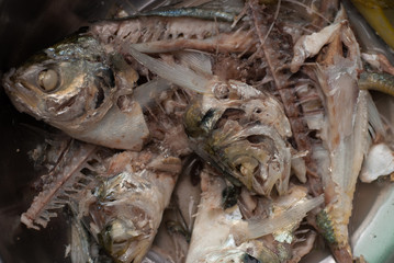 Fishbone of mackerel fish in a bowl