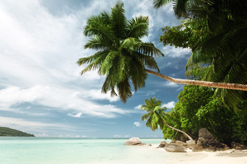 Fototapeta na wymiar beach on Mahe island, Seychelles