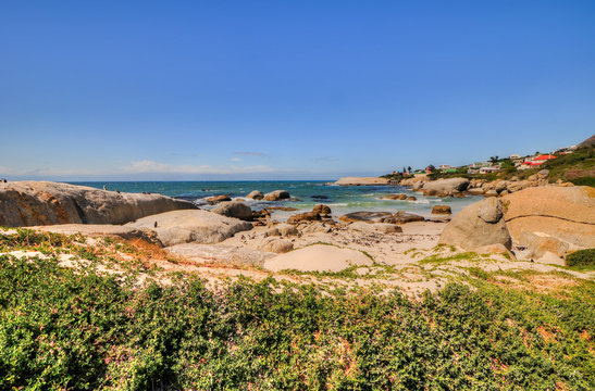 Penguins - Boulders Beach - South Africa