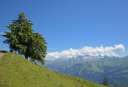 Schwyzer Alpen rund ums Muotatal 