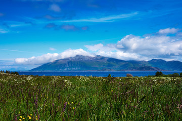Fototapeta premium meadow in norway