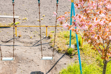 公園のブランコと桜