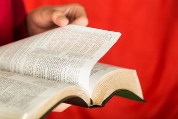 Obraz premium Book, Reading, Bible.