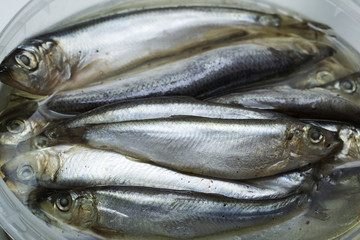 Spice salted sprats