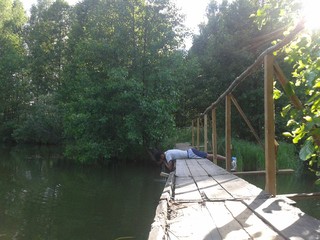 Boy on the wooden bridge