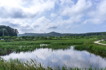 Gyeongpo Wetlands Park
