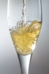 Champagne, Glass, Glamour.