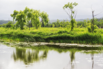Obraz premium Gyeongpo Wetlands Park