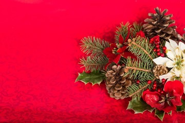 Poinsettia, Christmas, Christmas Decoration.